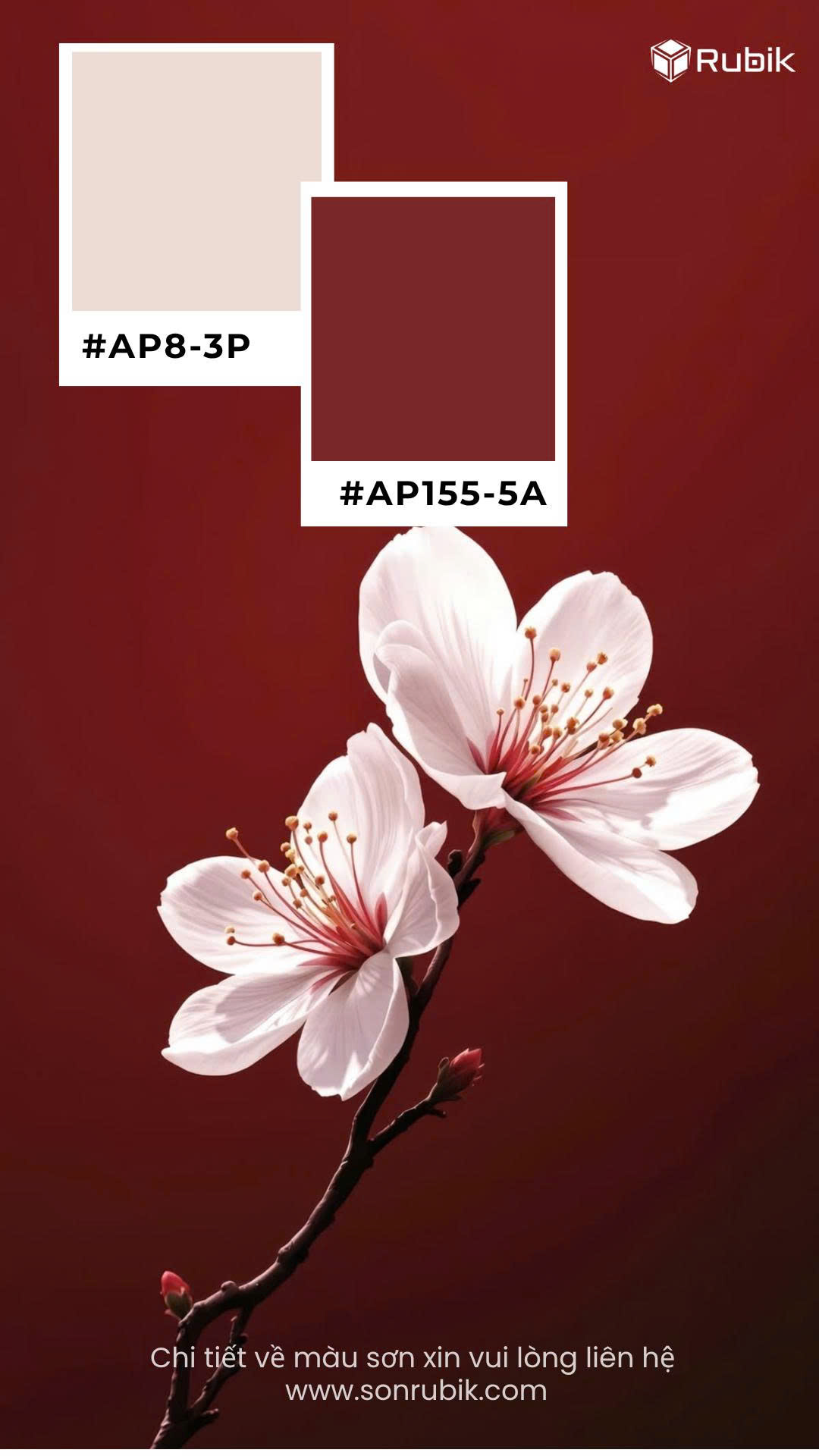 AP155-5A & AP8-3P – Sự hòa quyện giữa sắc đỏ trầm quyến rũ và gam kem thanh lịch